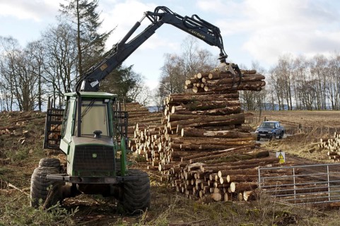 John Deere 1410D Forwarder stacking felled timber from pine plantation