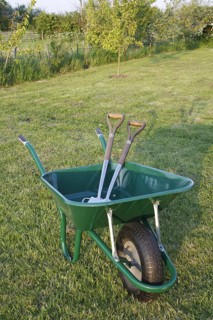 Wheelbarrow with spade and fork on garden lawn