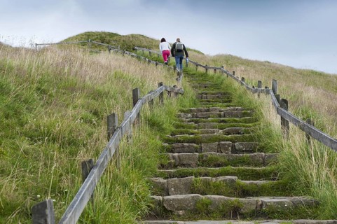 Walkers walking up steps