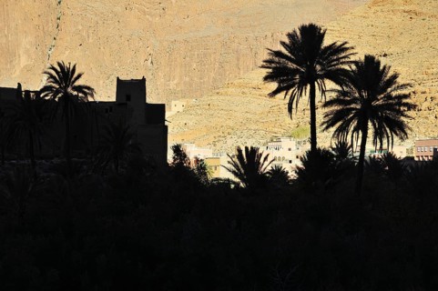 Silhouette of Ksar and palm trees