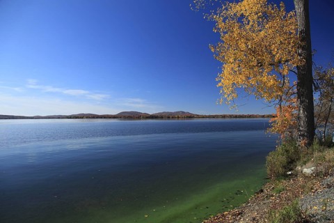View on Lake Brome