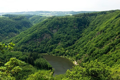 One arm of the big loop of the Saar river near Mettlach