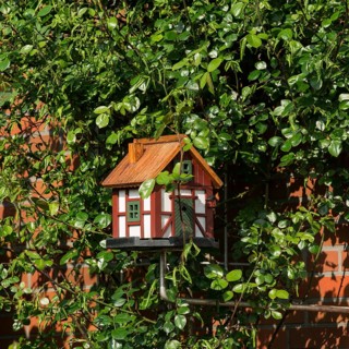 Small bird house on a rose trellis