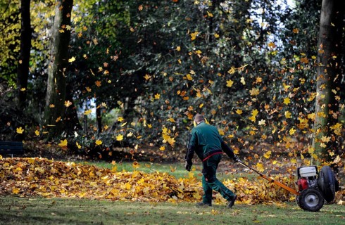 Autumn foliage being collected with a leaf blower