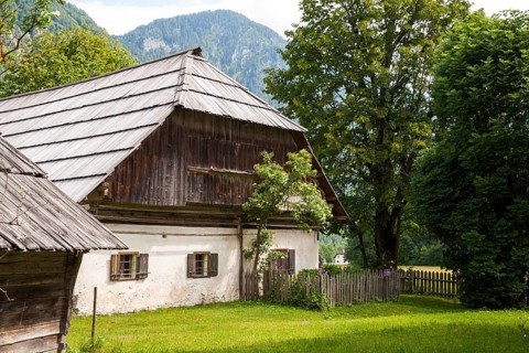 Ecological museum