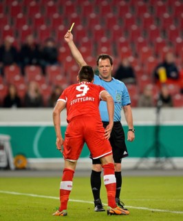 Vedad Ibisevic
