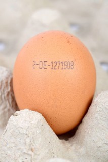 Brown egg with the producer code