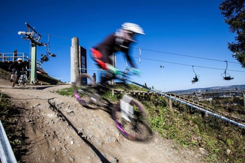 Mountain biker