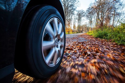 Car driving on a street covered with leaves