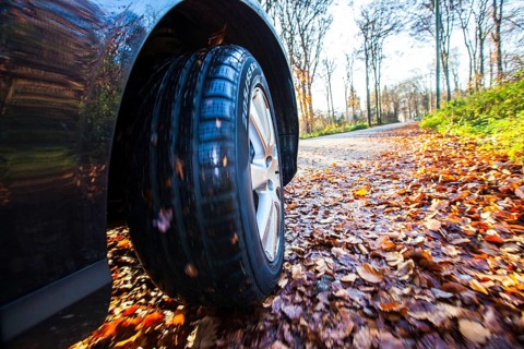 Car driving on a street covered with leaves