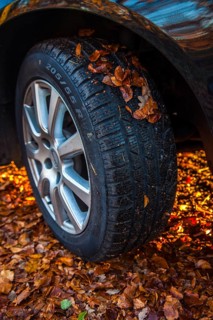 Car driving on a street covered with leaves