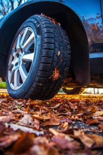 Car driving on a street covered with leaves