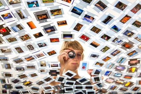 Young woman sorting mounted slides
