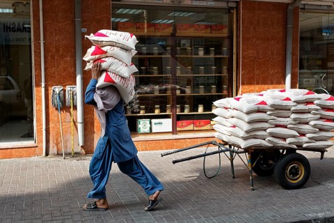 Worker carrying sacks of lentils on his shoulder