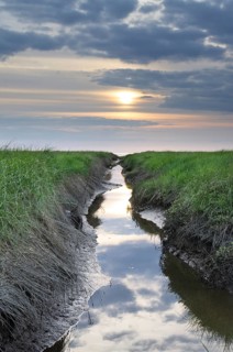 Ditch for the reclamation of land on the North Sea coast