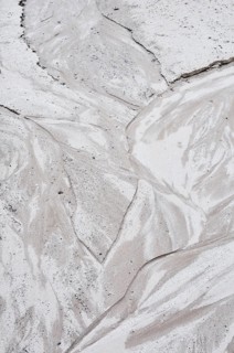 Landscape detail in a former open-cast mine near Finsterwalde