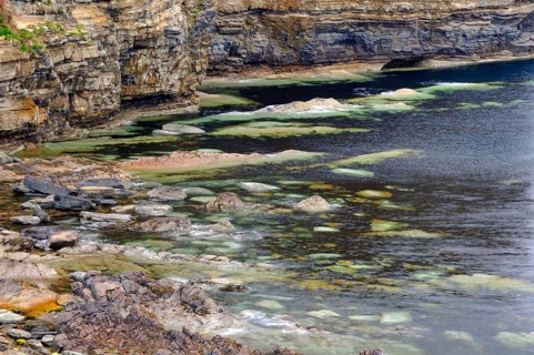 Rocks on coastal cliffs overgrown with algae and seaweed