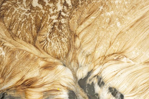 Foam carpet of algae in a mountain stream