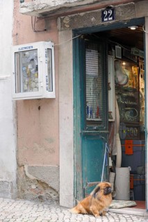 Small shop