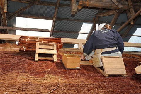 A roofer with a hard hat is nailing cypress bark to the roof of the Kamigamo Shrine