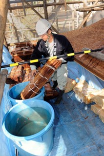 Cypress bark is soaked in water prior to thatching