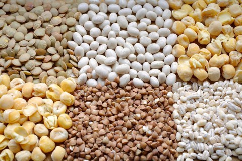 Different types of legumes