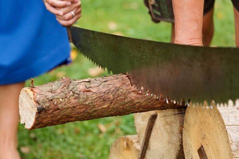 Couple sawing wood