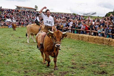 Evi Mair on the ox Malibu