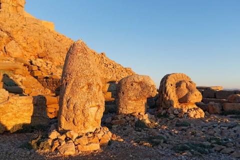 Heads of Herakles-Artagnes