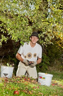 Man at the apple harvest