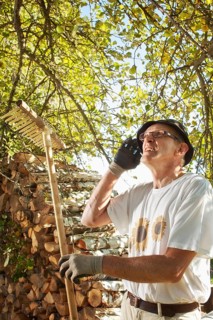 Man at the apple harvest