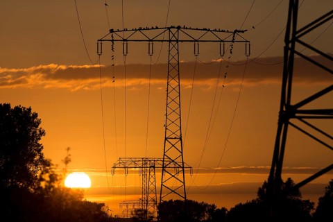 High voltage power lines in the evening light at the Havel Canal near Potsdam-Paaren