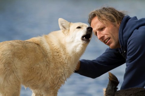 Man and a barking dog