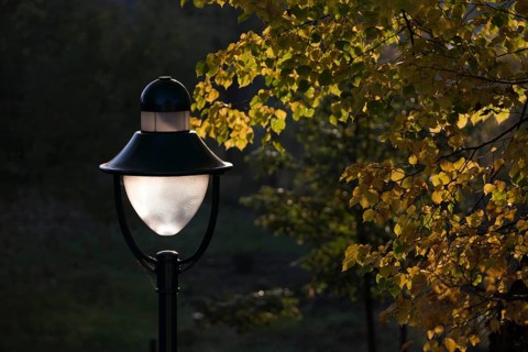 Lamp and yellow autumnal leaves of a lime tree