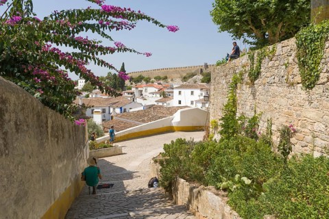 Cityscape from the Castelo de Obidos