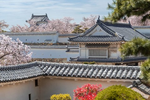 Outside Himeji Castle