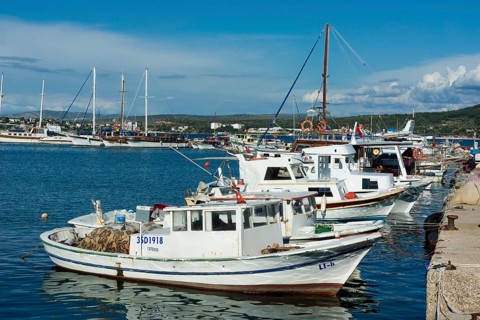 Zeytineli Koyu