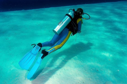 Diver