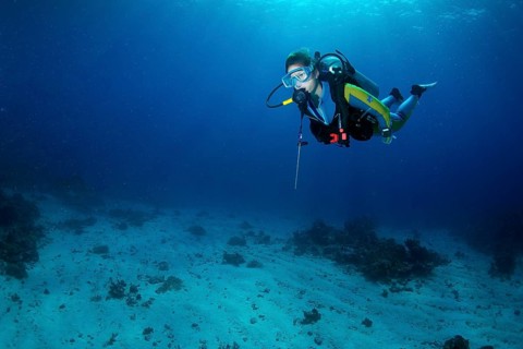 Diver