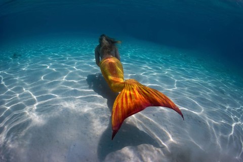 Mermaid