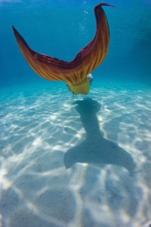 Mermaid