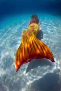 Mermaid