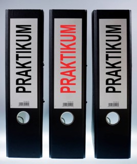 Three file folders labeled 'Praktikum'