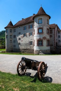 Moated Castle of Glatt