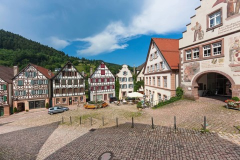 Half-timbered houses