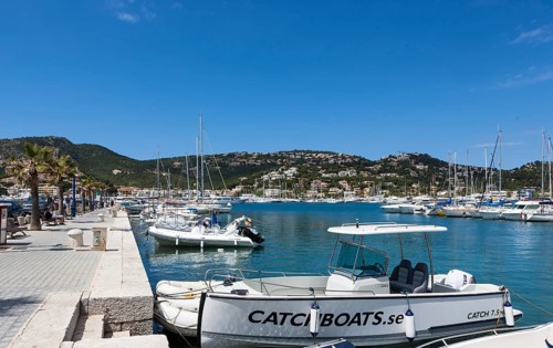 Harbour or marina of Puerto Andratx