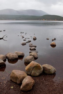 Loch Morlich