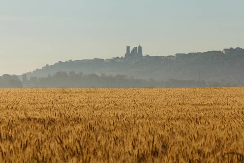 Laon Cathedral in the morning mist
