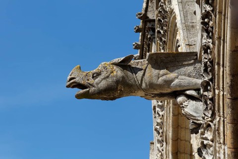 Laon Cathedral