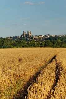 Laon Cathedral in the historic district on a limestone table mountain